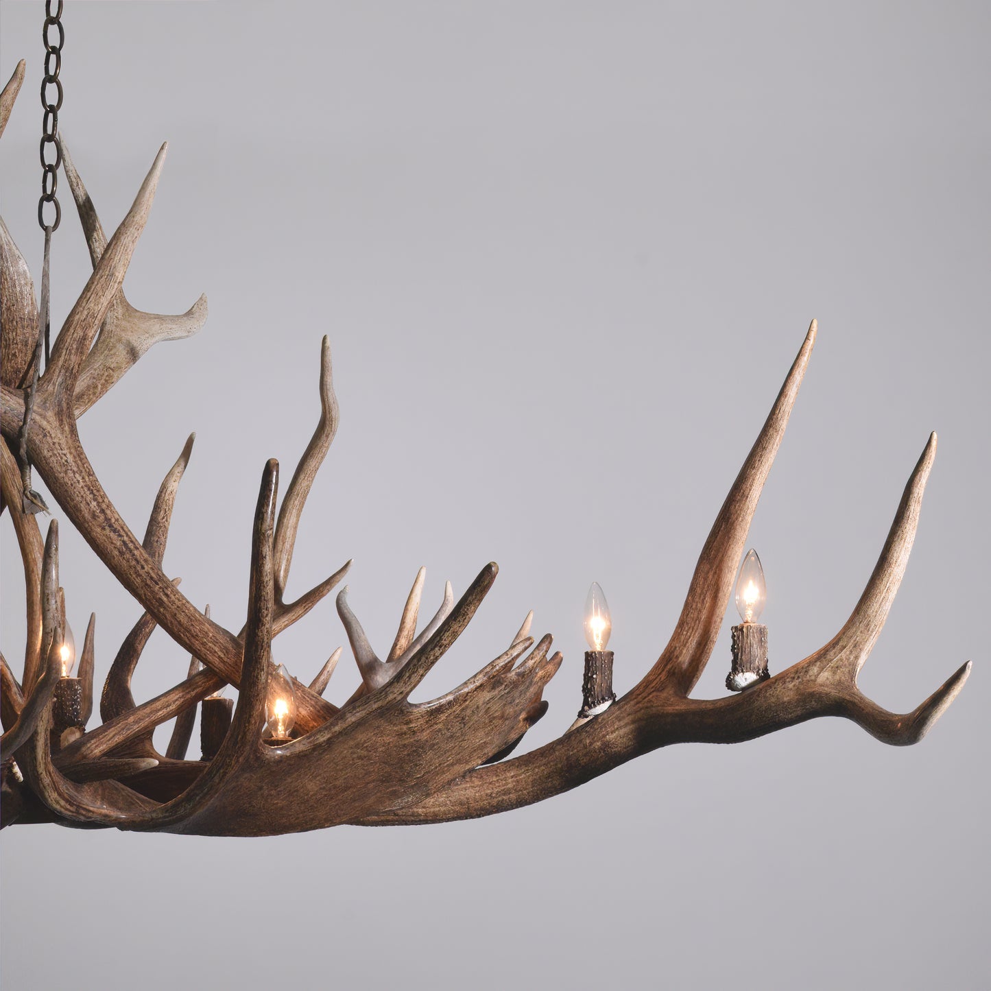 A closeup of the large elk, moose, and deer antlers used in the Hayden Valley Antler Chandelier.