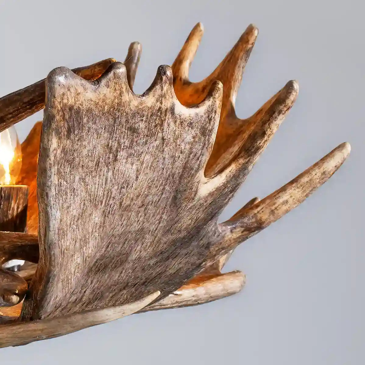 We only use the very best moose antler dropped each season to crafted our Moose Antler Chandelier.