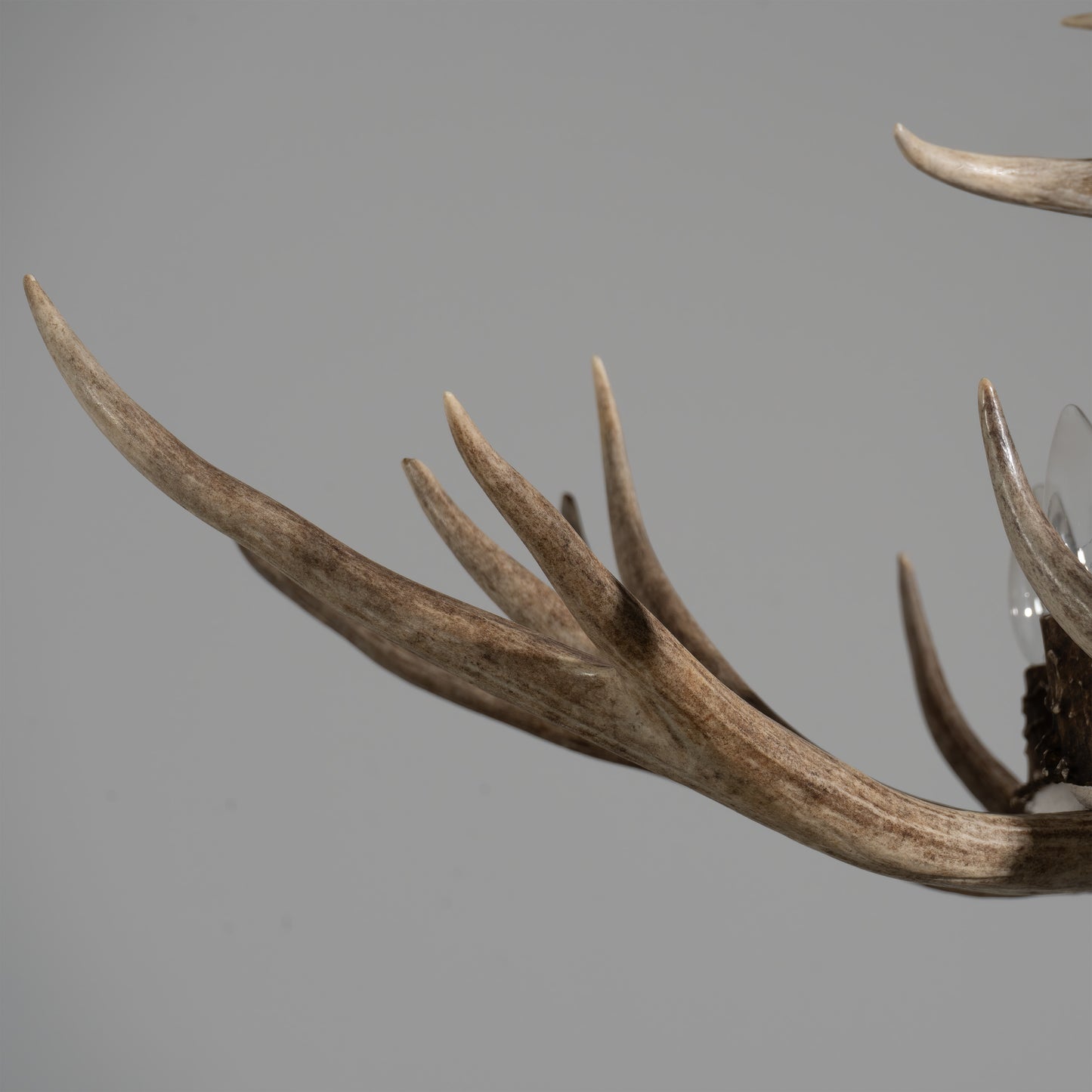 Only the highest quality naturally shed antler is used in our antler chandeliers.
