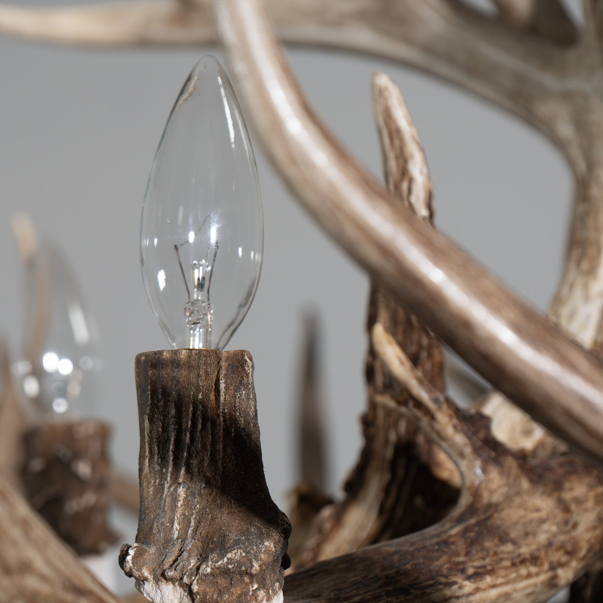 Proprietary light cups are crafted from a mold to ensure beautiful blending with the natural antler on the chandelier while providing maximum safety. 